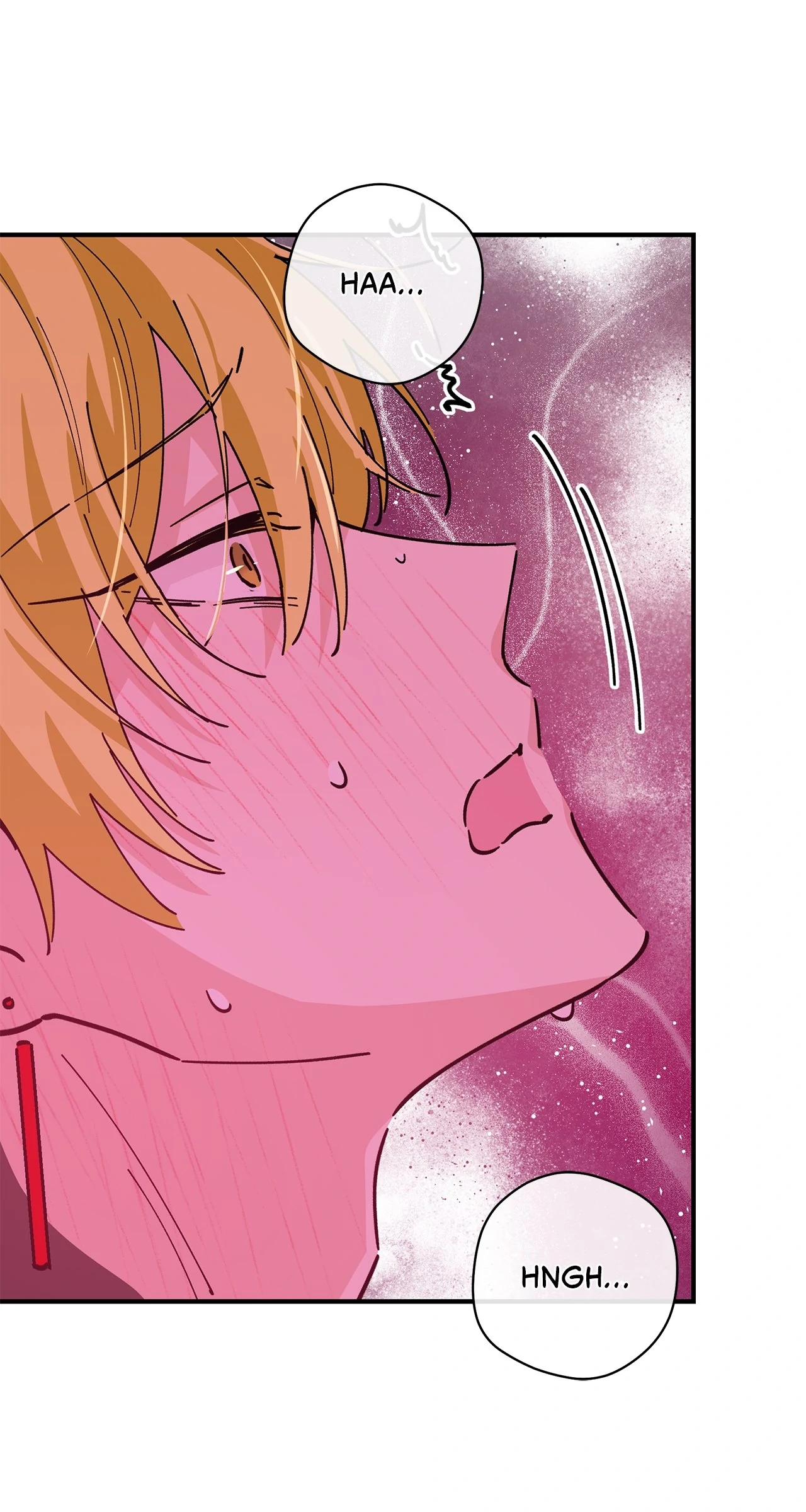 Miss Who Swallowed a Mage Chapter 16 - Page 12