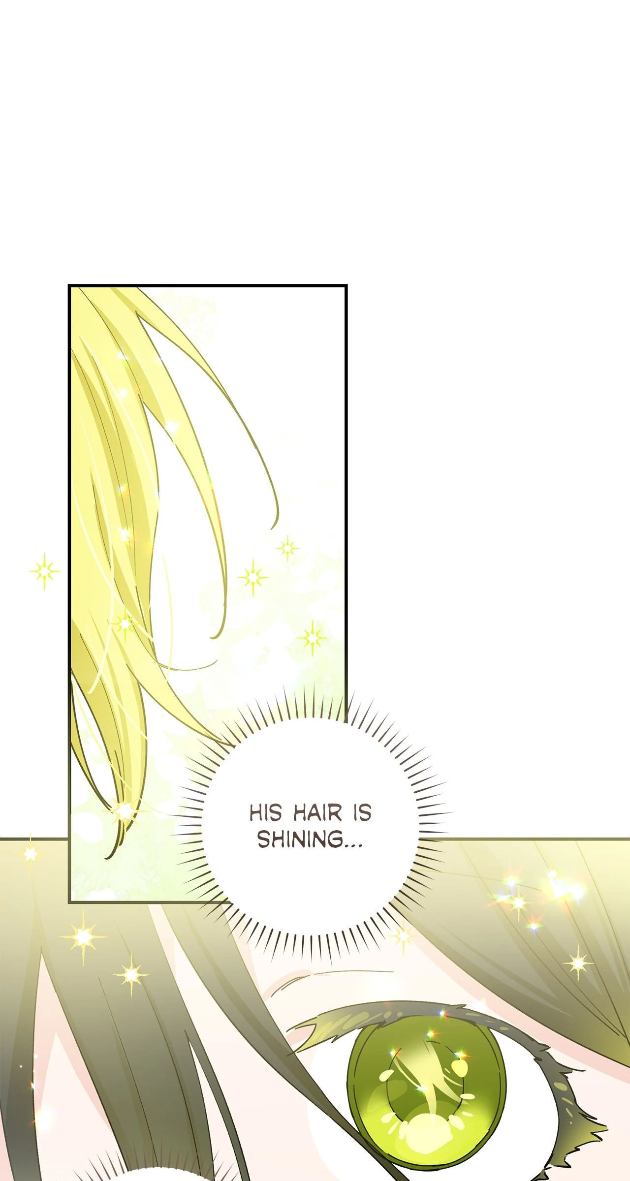 Miss Who Swallowed a Mage Chapter 2 - Page 15