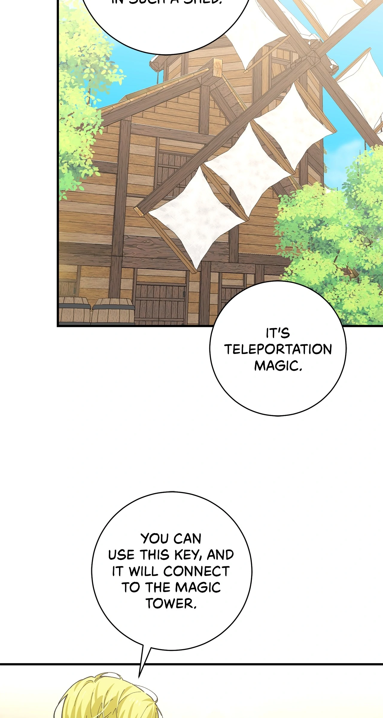 Miss Who Swallowed a Mage Chapter 23 - Page 14