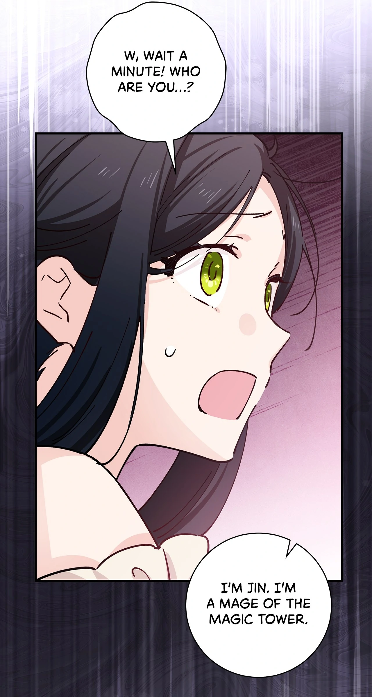 Miss Who Swallowed a Mage Chapter 9 - Page 84
