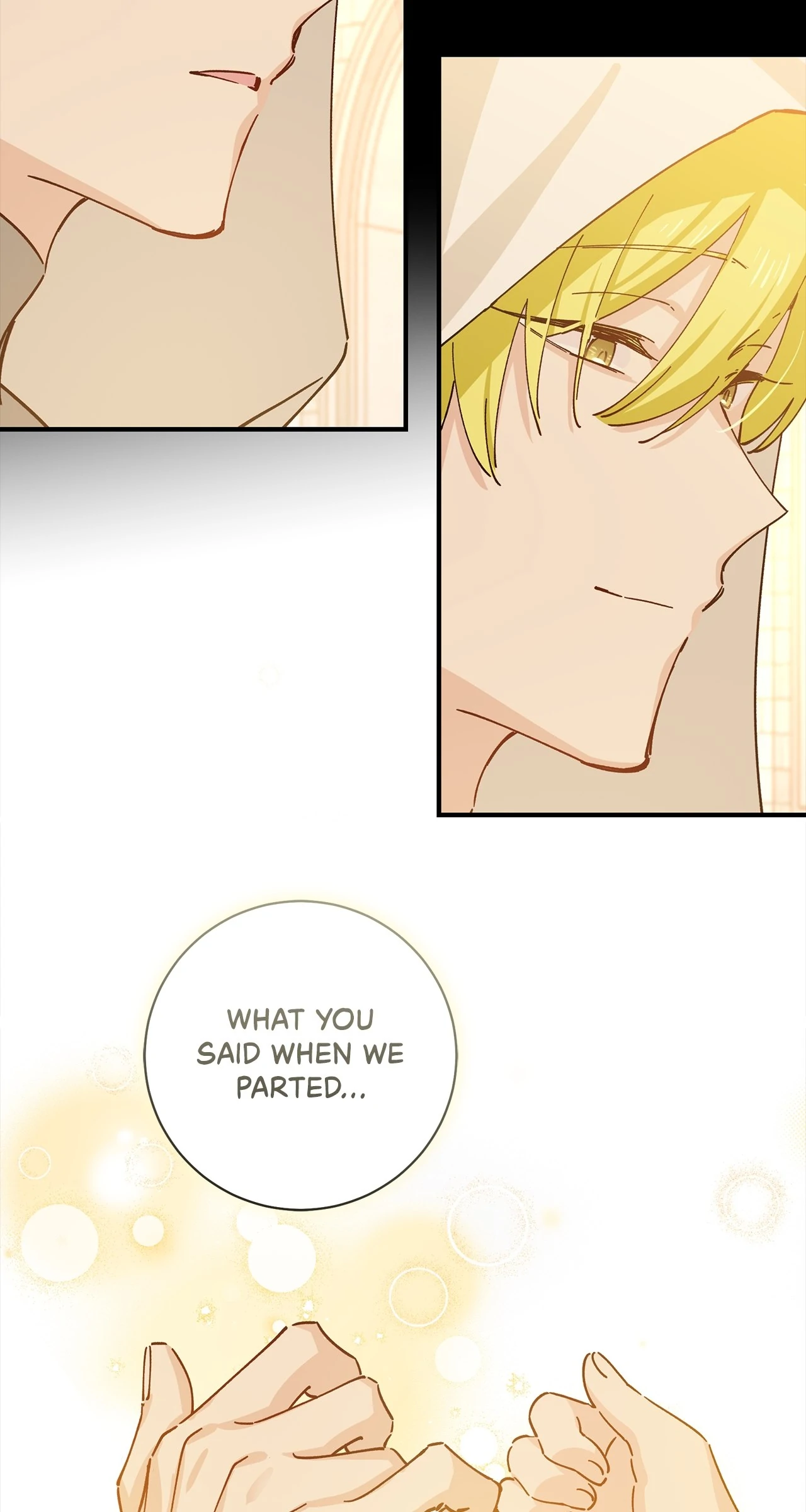 Miss Who Swallowed a Mage Chapter 9 - Page 9