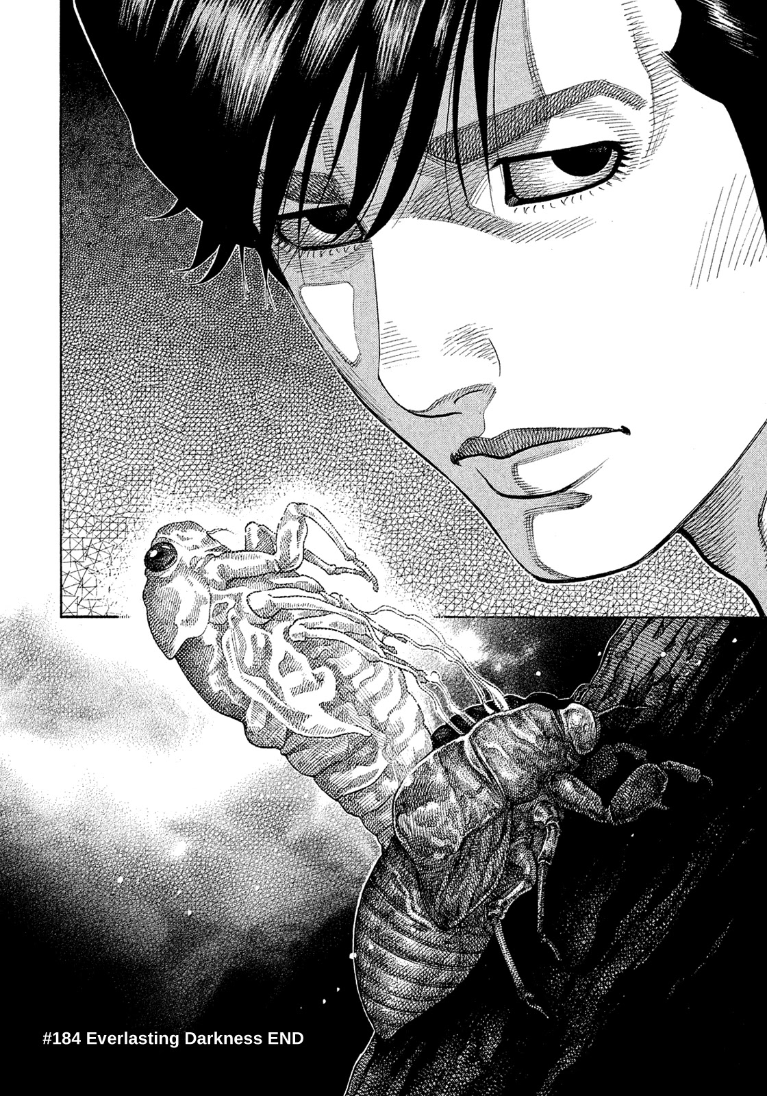 Montage (WATANABE Jun) Chapter 184 - Page 17
