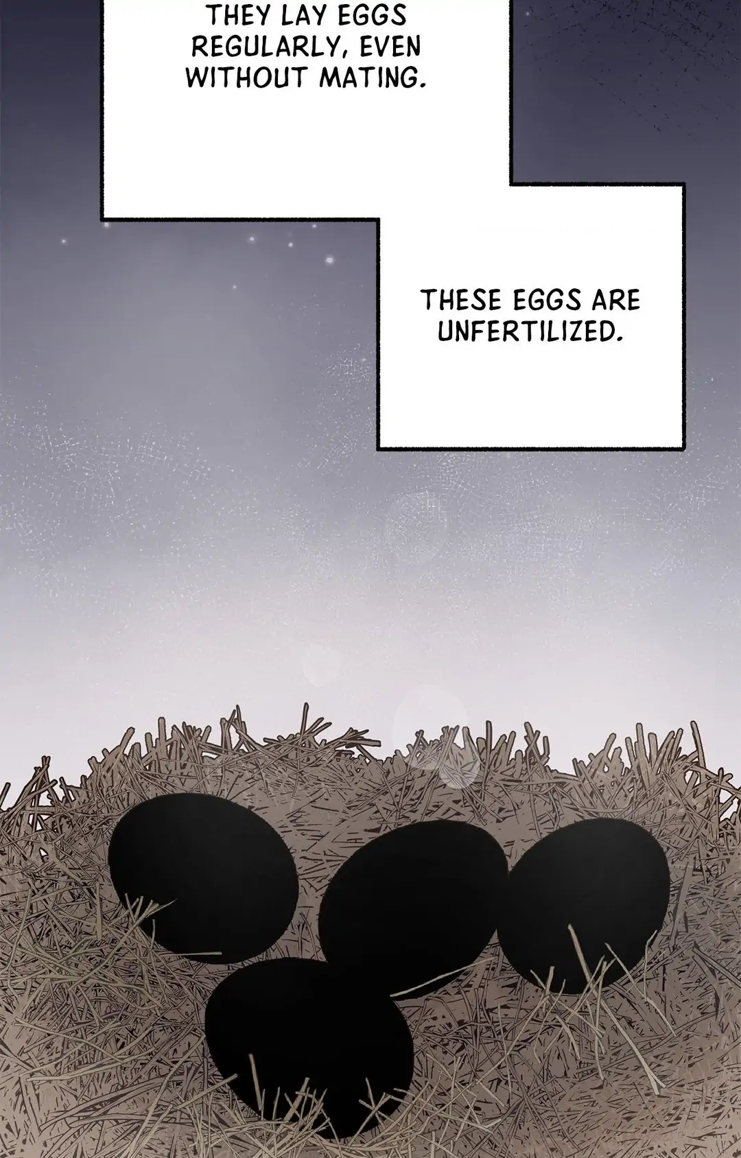 Mr.A’s Farm Chapter 8 - Page 24