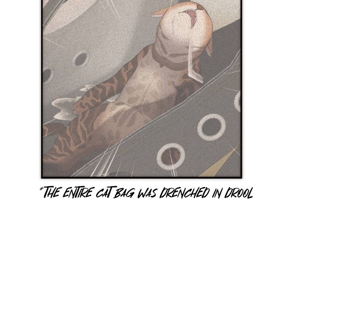 My Benefactor Is Not a Scholar Chapter 71 - Page 28