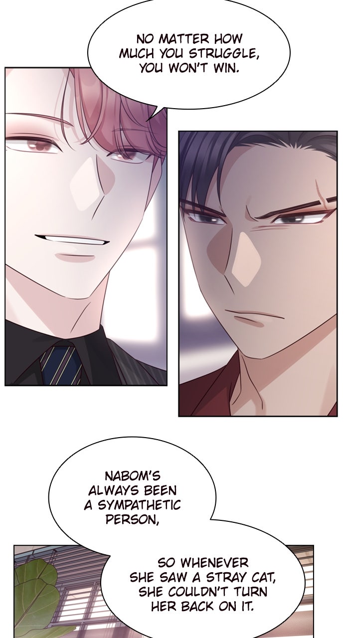 My Exes Fell For Me Chapter 49 - Page 8
