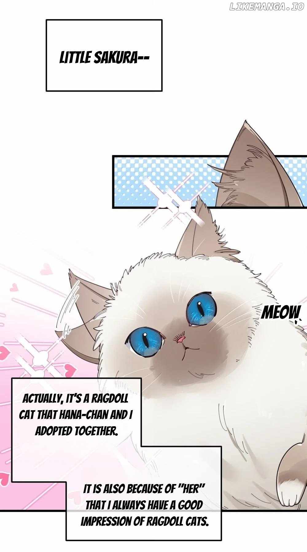 My Fake Girlfriends Are Using Me as a Shield Chapter 137 - Page 16