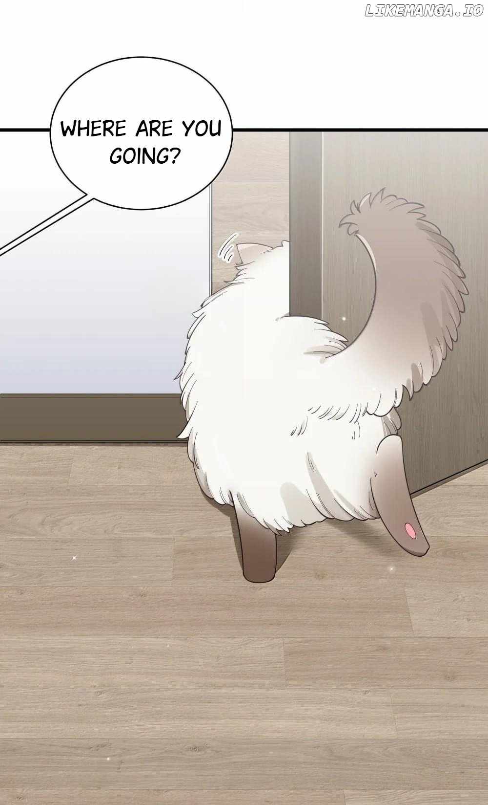 My Fake Girlfriends Are Using Me as a Shield Chapter 137 - Page 21