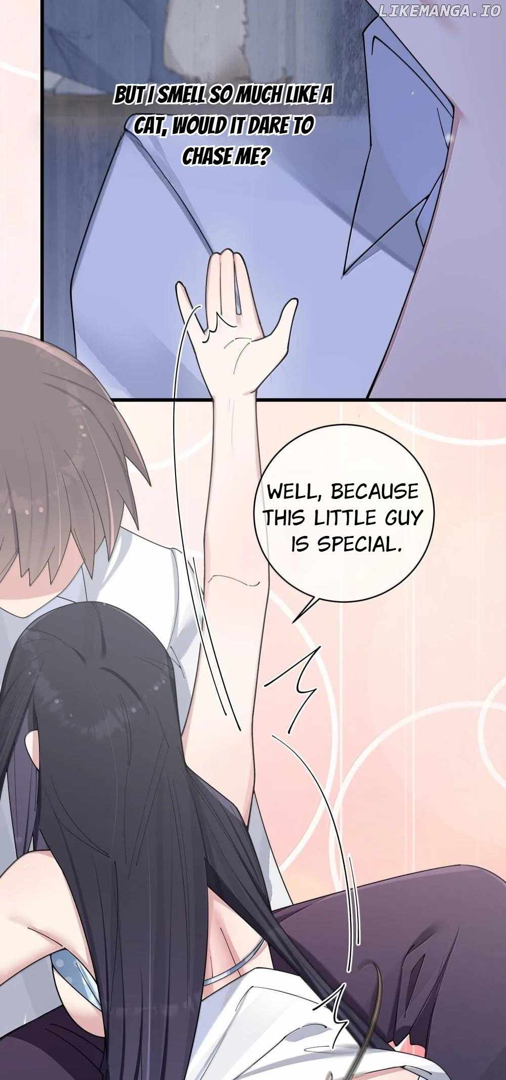 My Fake Girlfriends Are Using Me as a Shield Chapter 150 - Page 19