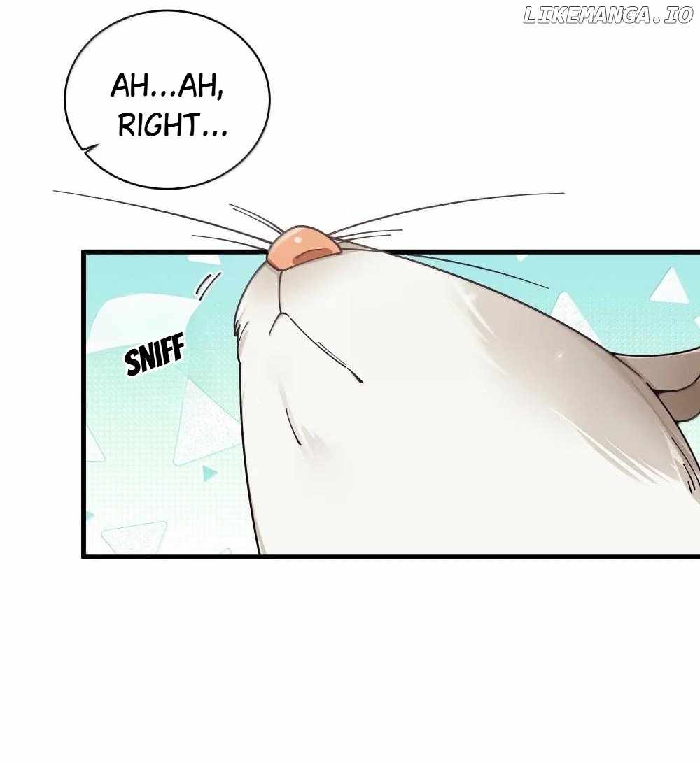 My Fake Girlfriends Are Using Me as a Shield Chapter 150 - Page 8