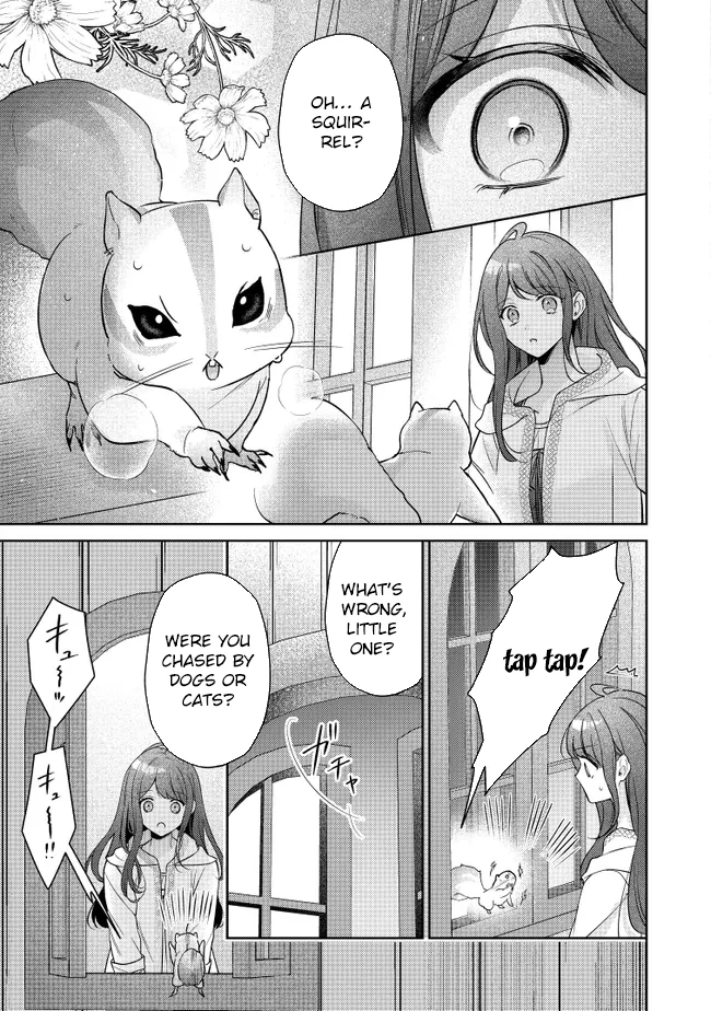 My Fiancé, Who Used to Hate Me, Turned into a Squirrel and Came to Me for Help Chapter 1 - Page 30