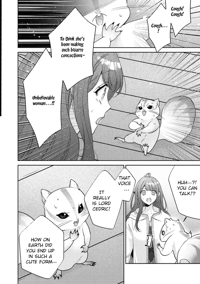My Fiancé, Who Used to Hate Me, Turned into a Squirrel and Came to Me for Help Chapter 1 - Page 35