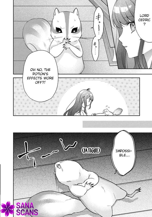 My Fiancé, Who Used to Hate Me, Turned into a Squirrel and Came to Me for Help Chapter 1 - Page 41