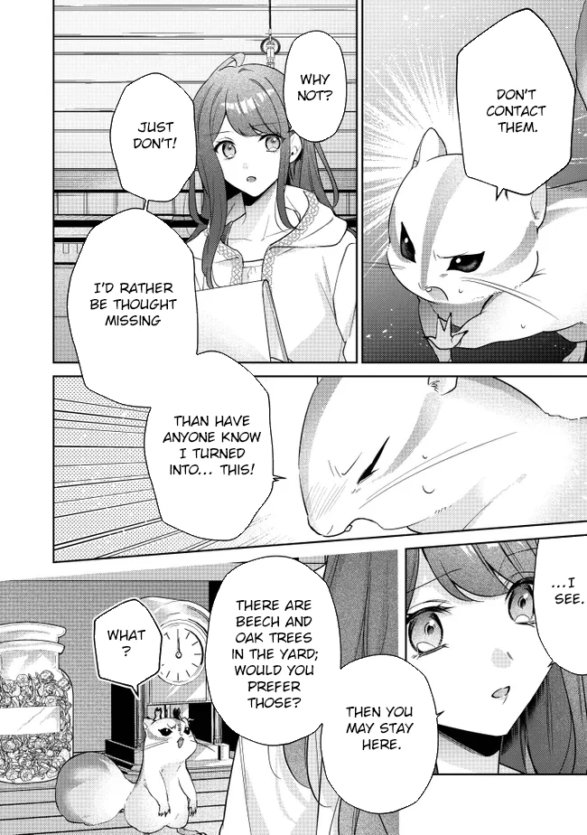 My Fiancé, Who Used to Hate Me, Turned into a Squirrel and Came to Me for Help Chapter 1 - Page 43