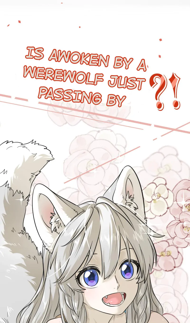 My Food Looks Very Cute Chapter 0 - Page 3