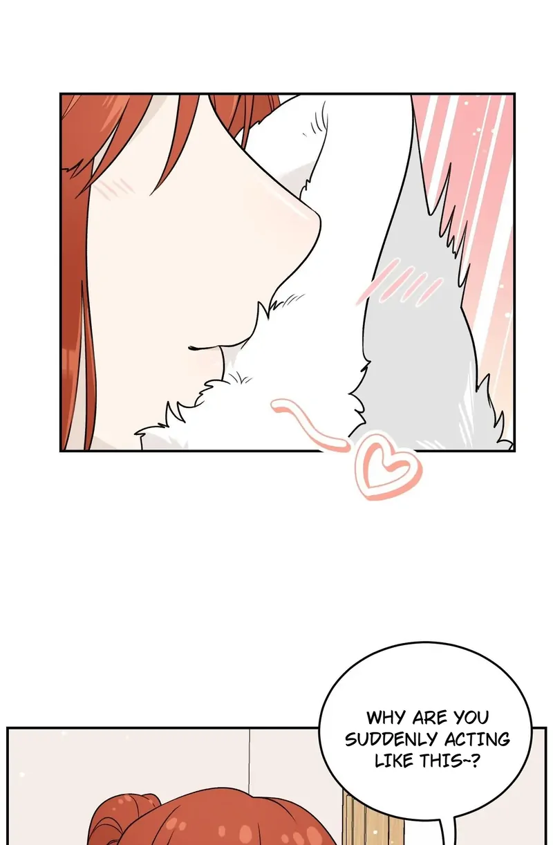My Food Looks Very Cute Chapter 139 - Page 36