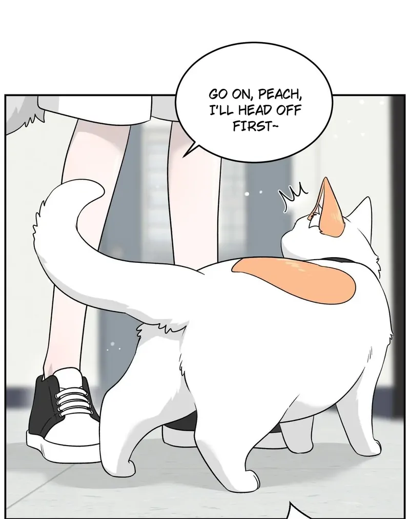 My Food Looks Very Cute Chapter 145 - Page 25