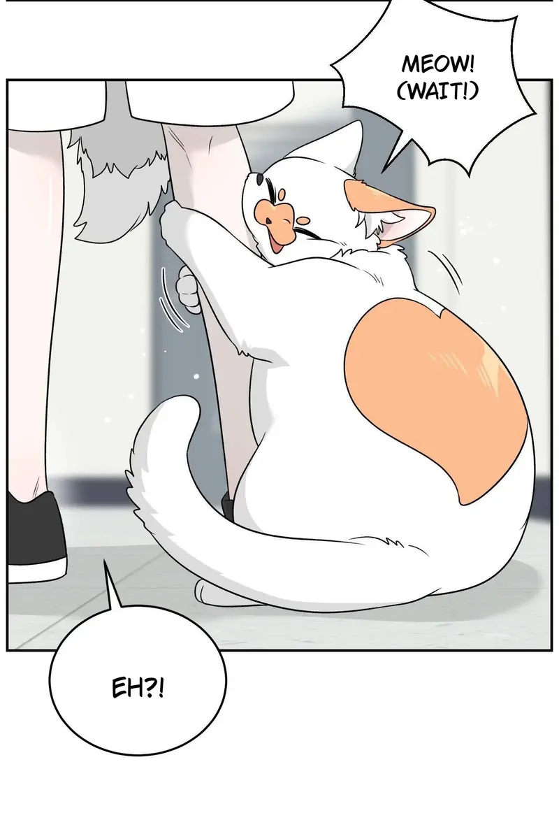 My Food Looks Very Cute Chapter 145 - Page 26