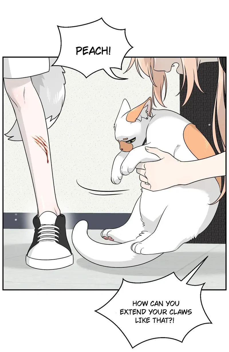 My Food Looks Very Cute Chapter 145 - Page 35