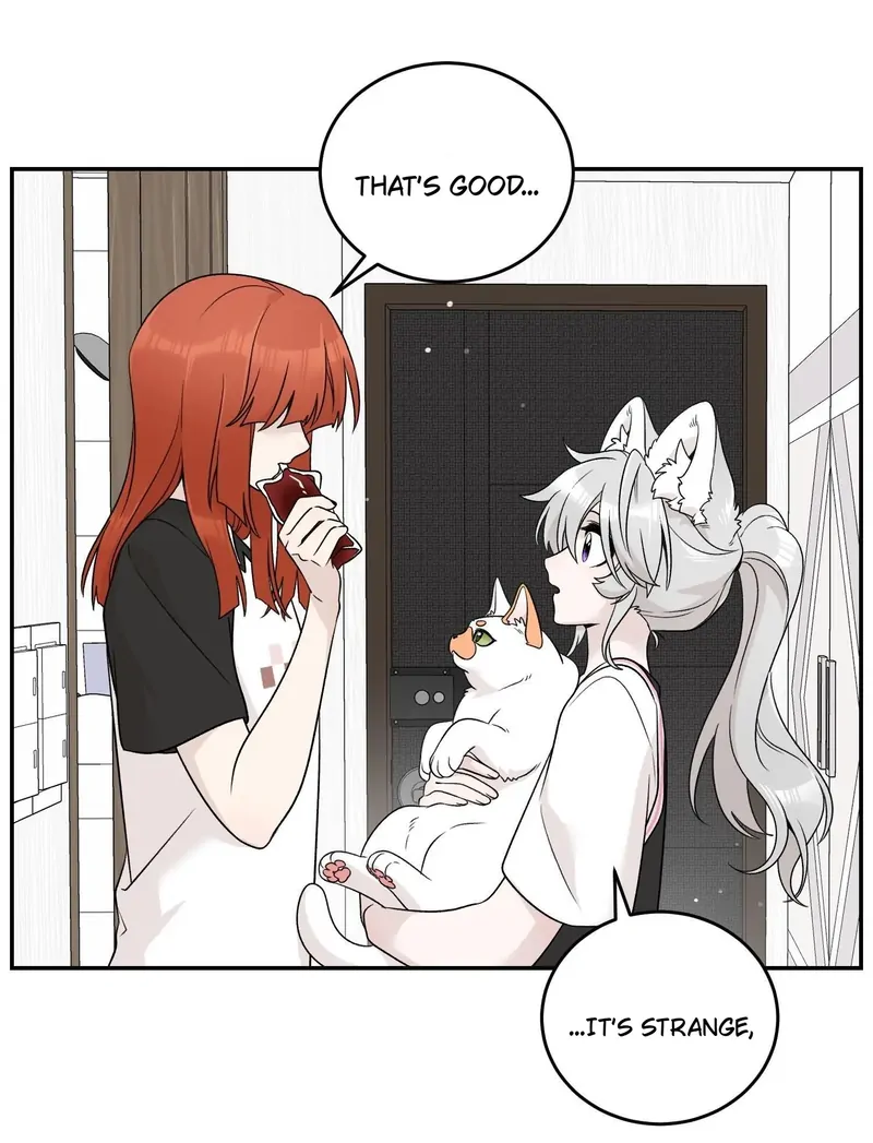 My Food Looks Very Cute Chapter 146 - Page 18