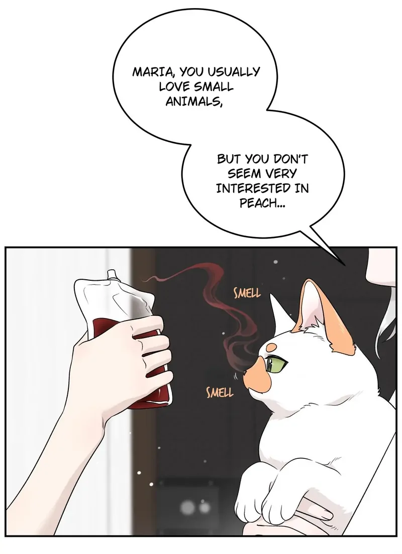 My Food Looks Very Cute Chapter 146 - Page 19