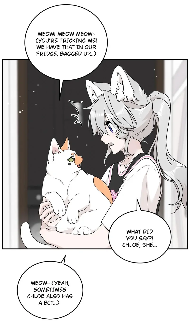 My Food Looks Very Cute Chapter 146 - Page 22