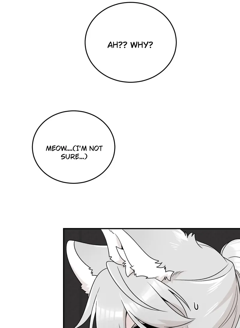 My Food Looks Very Cute Chapter 146 - Page 23