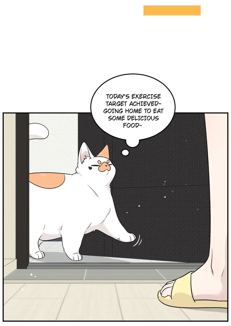 My Food Looks Very Cute Chapter 146 - Page 26