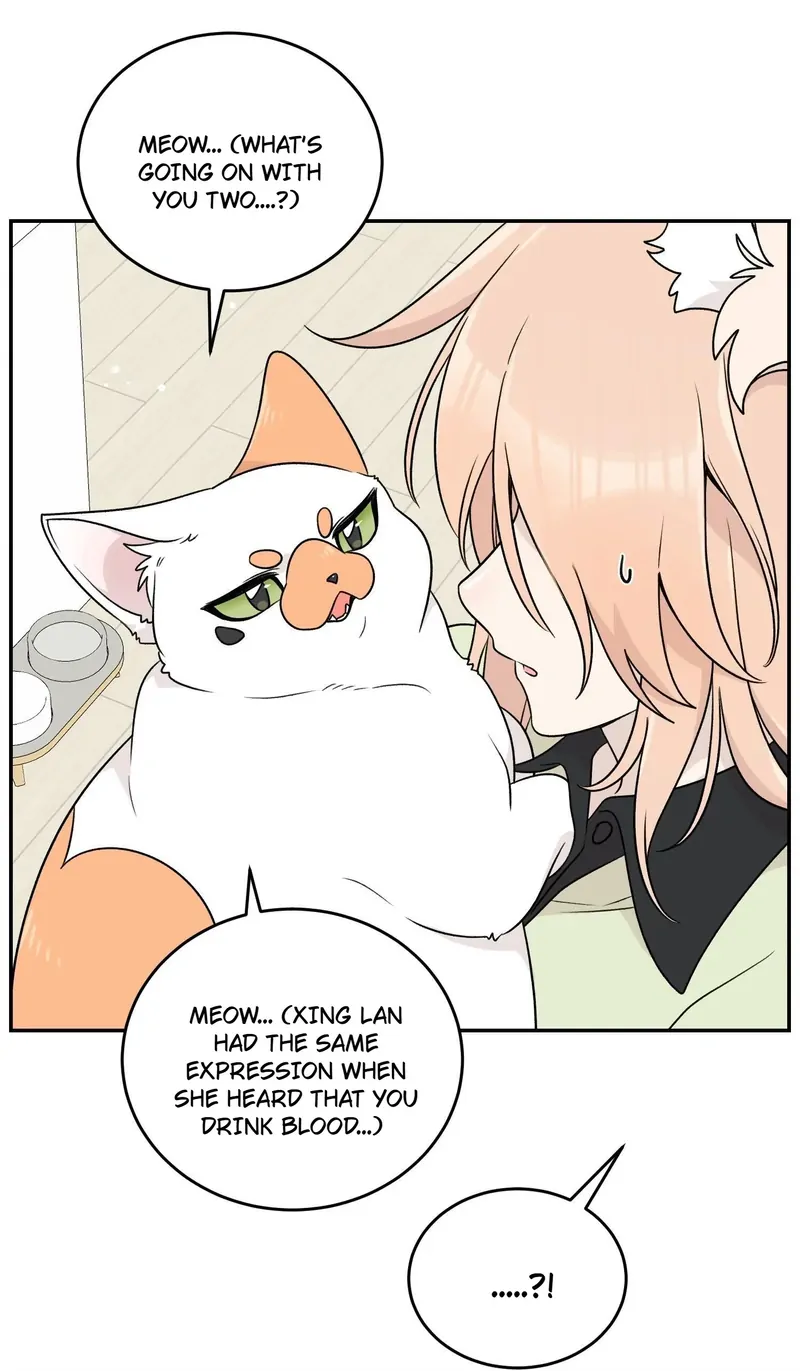 My Food Looks Very Cute Chapter 146 - Page 32