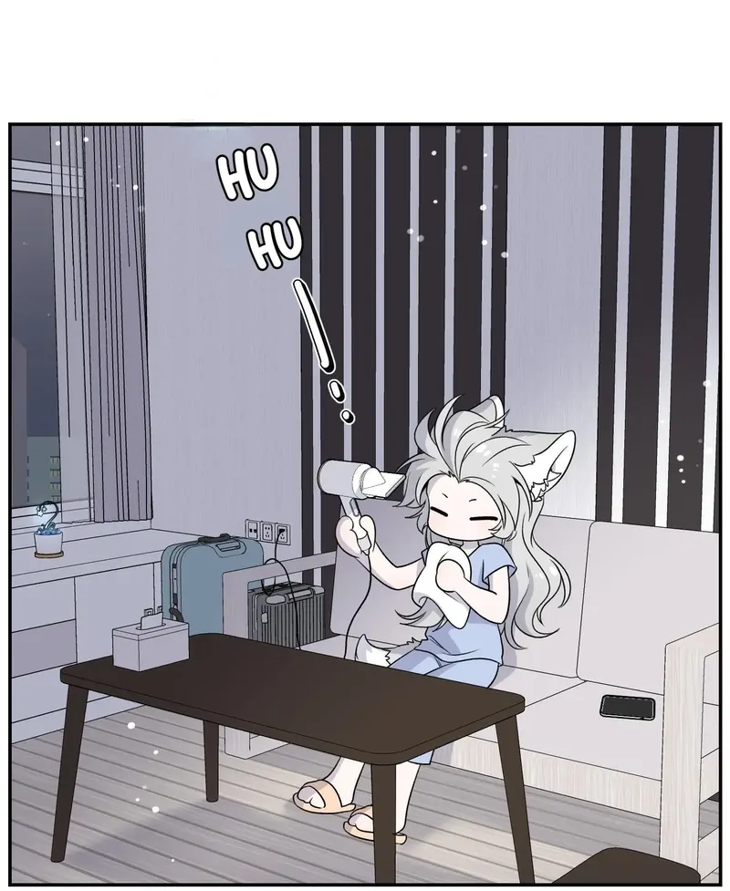 My Food Looks Very Cute Chapter 147 - Page 3