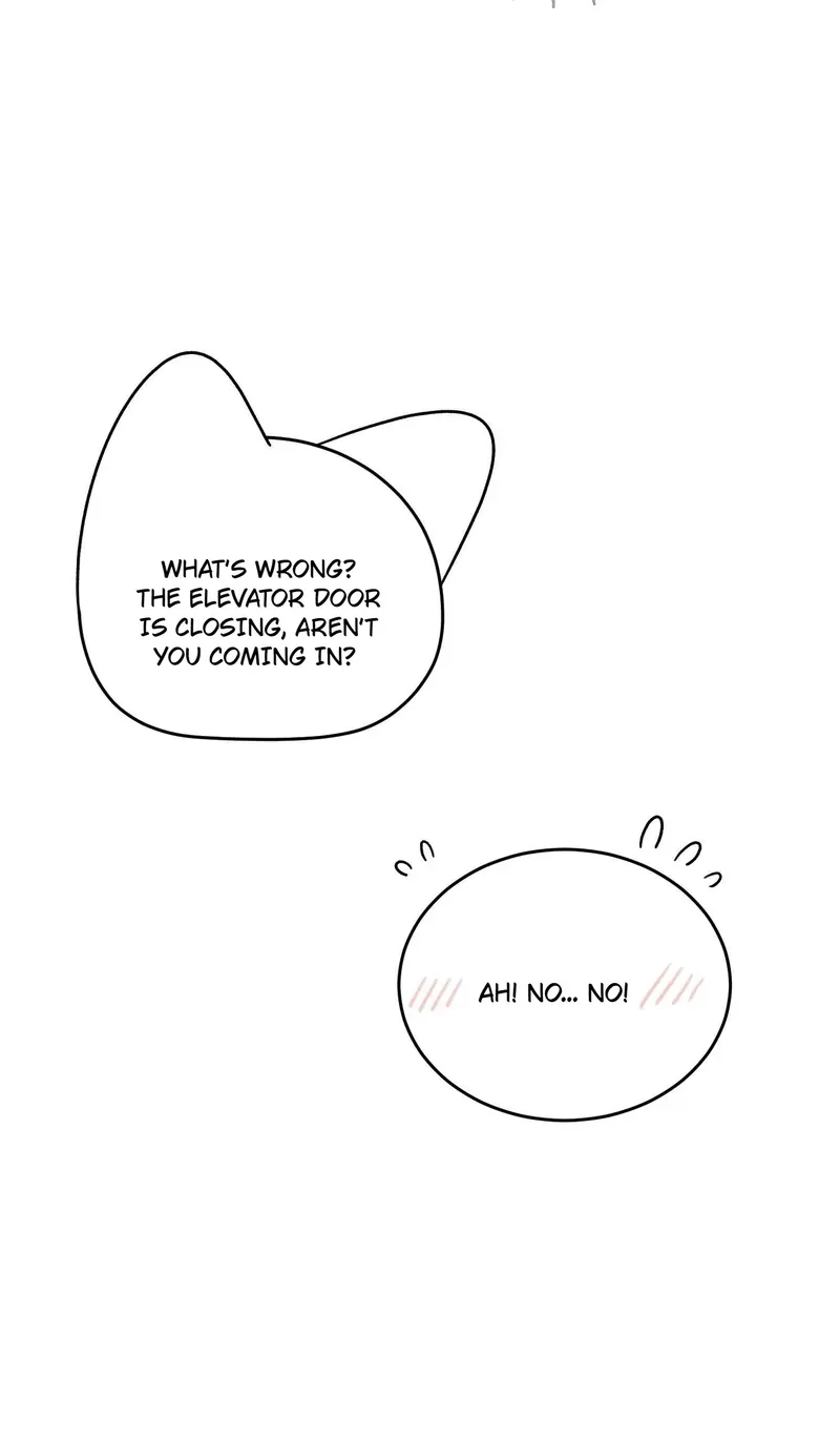 My Food Looks Very Cute Chapter 150 - Page 33