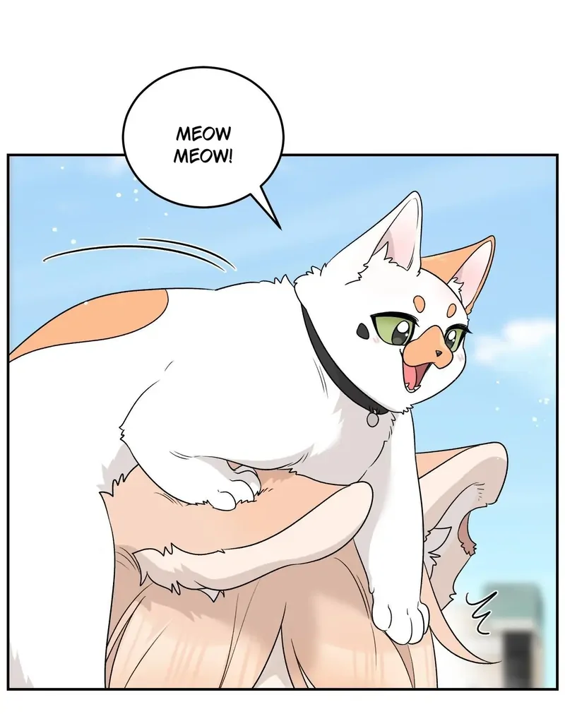 My Food Looks Very Cute Chapter 153 - Page 3