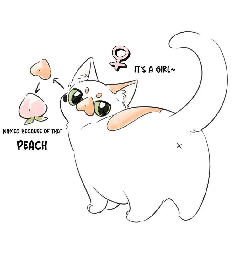 My Food Looks Very Cute Chapter 153 - Page 45