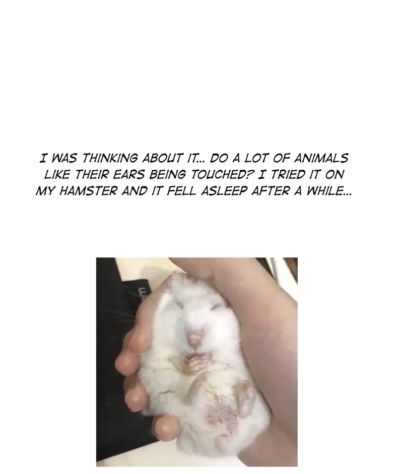 My Food Looks Very Cute Chapter 51 - Page 34