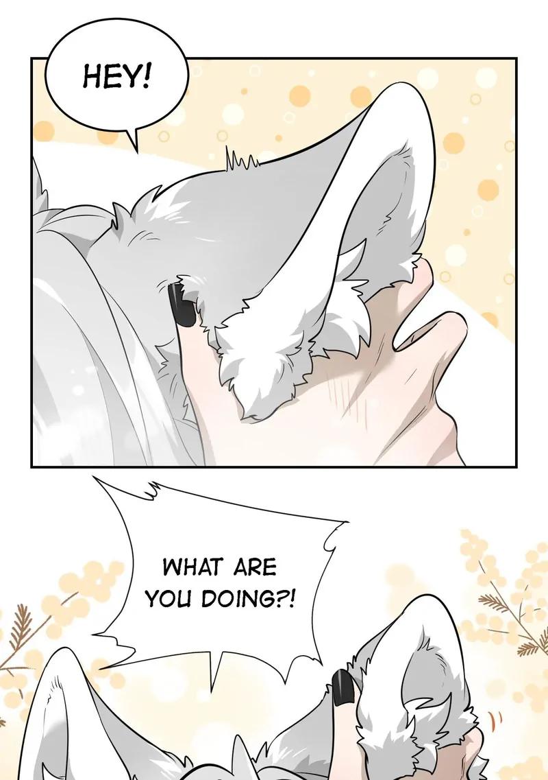My Food Looks Very Cute Chapter 65 - Page 6