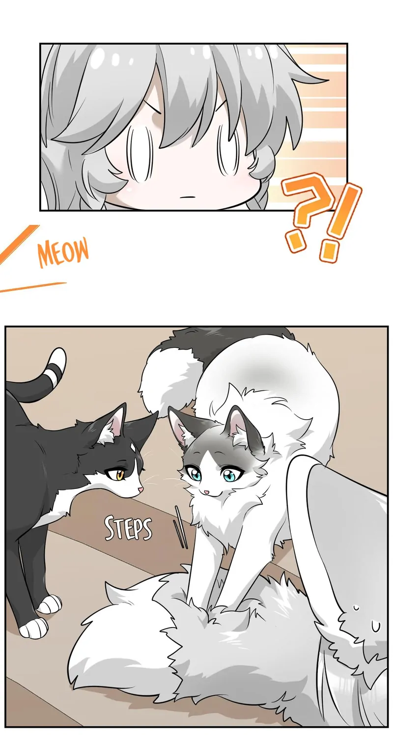 My Food Looks Very Cute Chapter 67 - Page 25