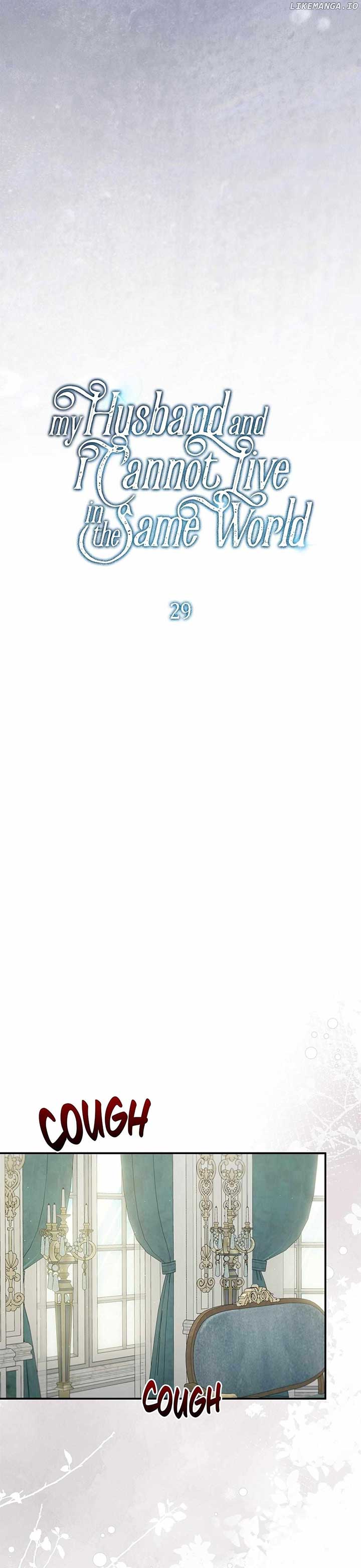 My Husband and I Cannot Live in the Same World Chapter 29 - Page 5