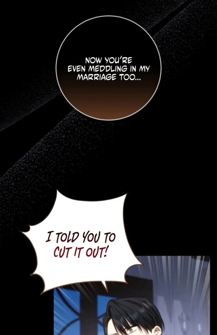 My Husband Was Stolen Twice Chapter 19 - Page 3
