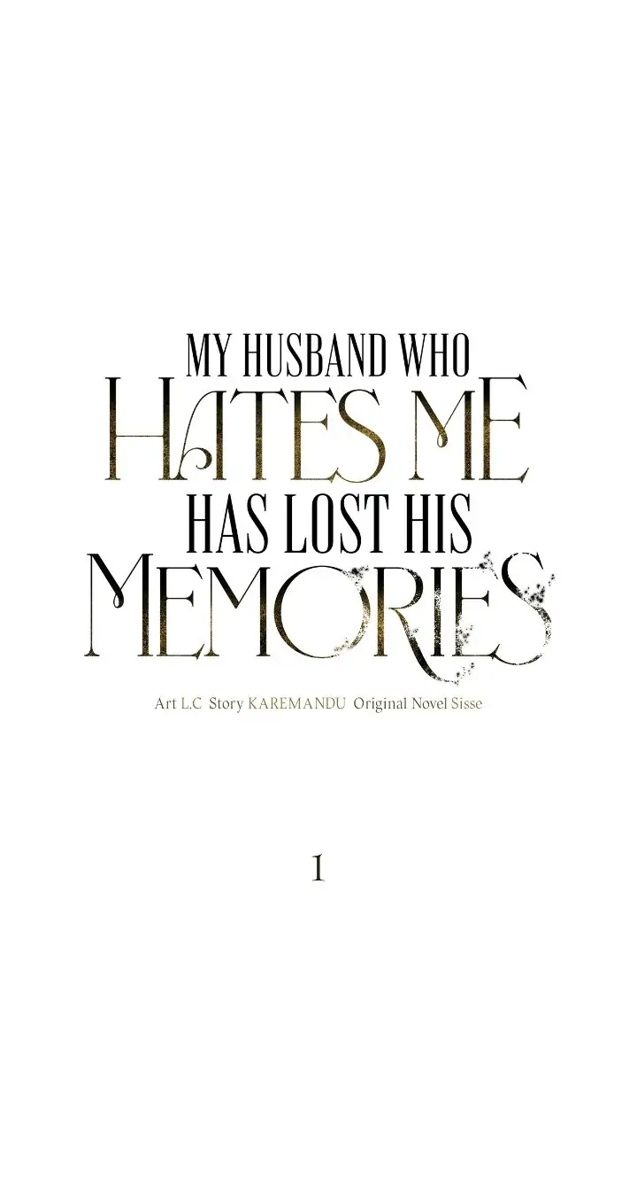 My Husband Who Hates Me Has Lost His Memories Chapter 1 - Page 5