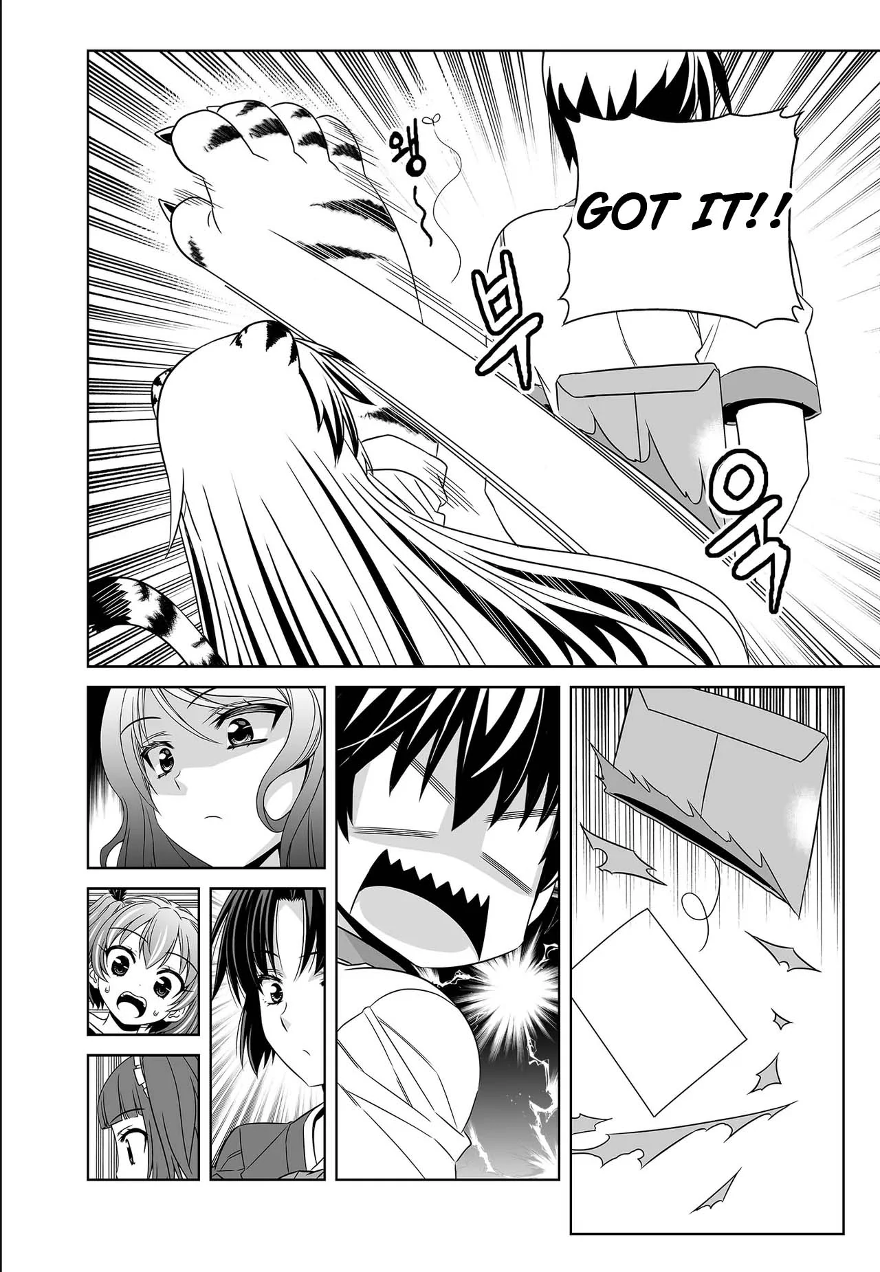 My Love Tiger Chapter 251 - Page 13
