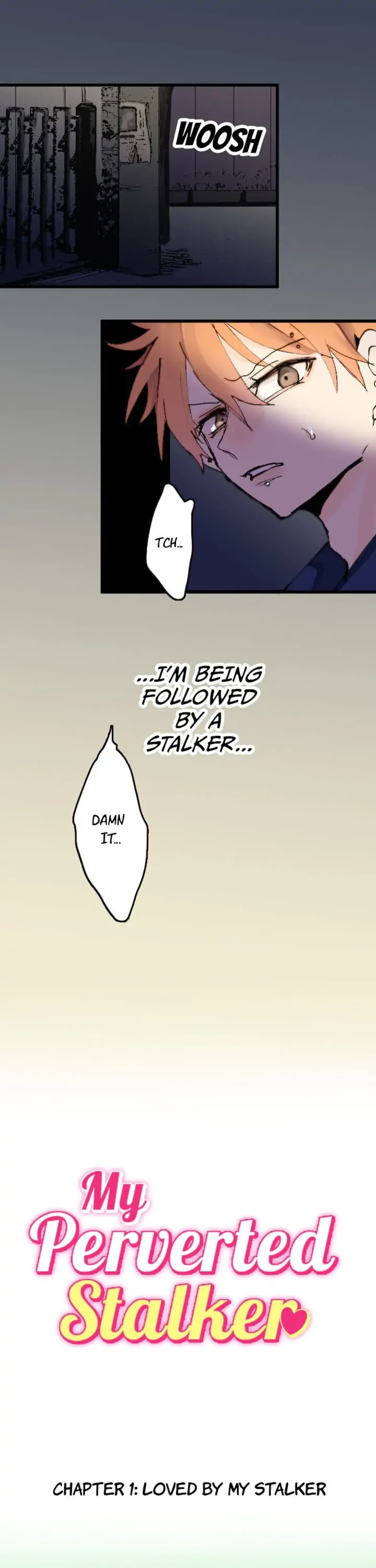 My Perverted Stalker Chapter 1 - Page 1