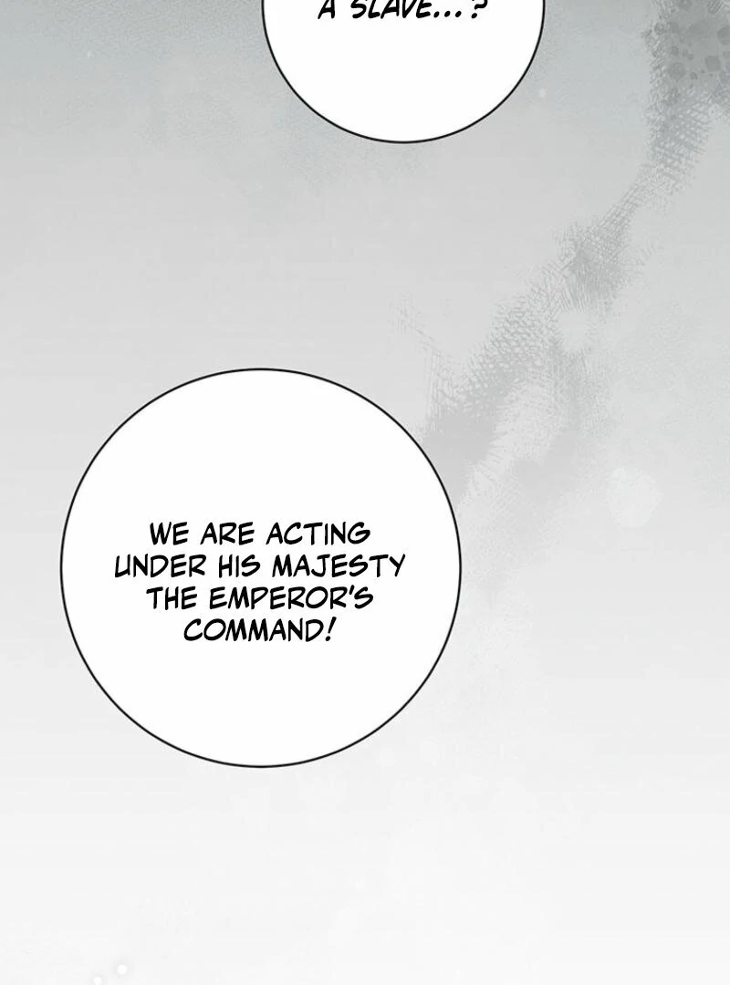 New Moon Chapter 12 - Page 34