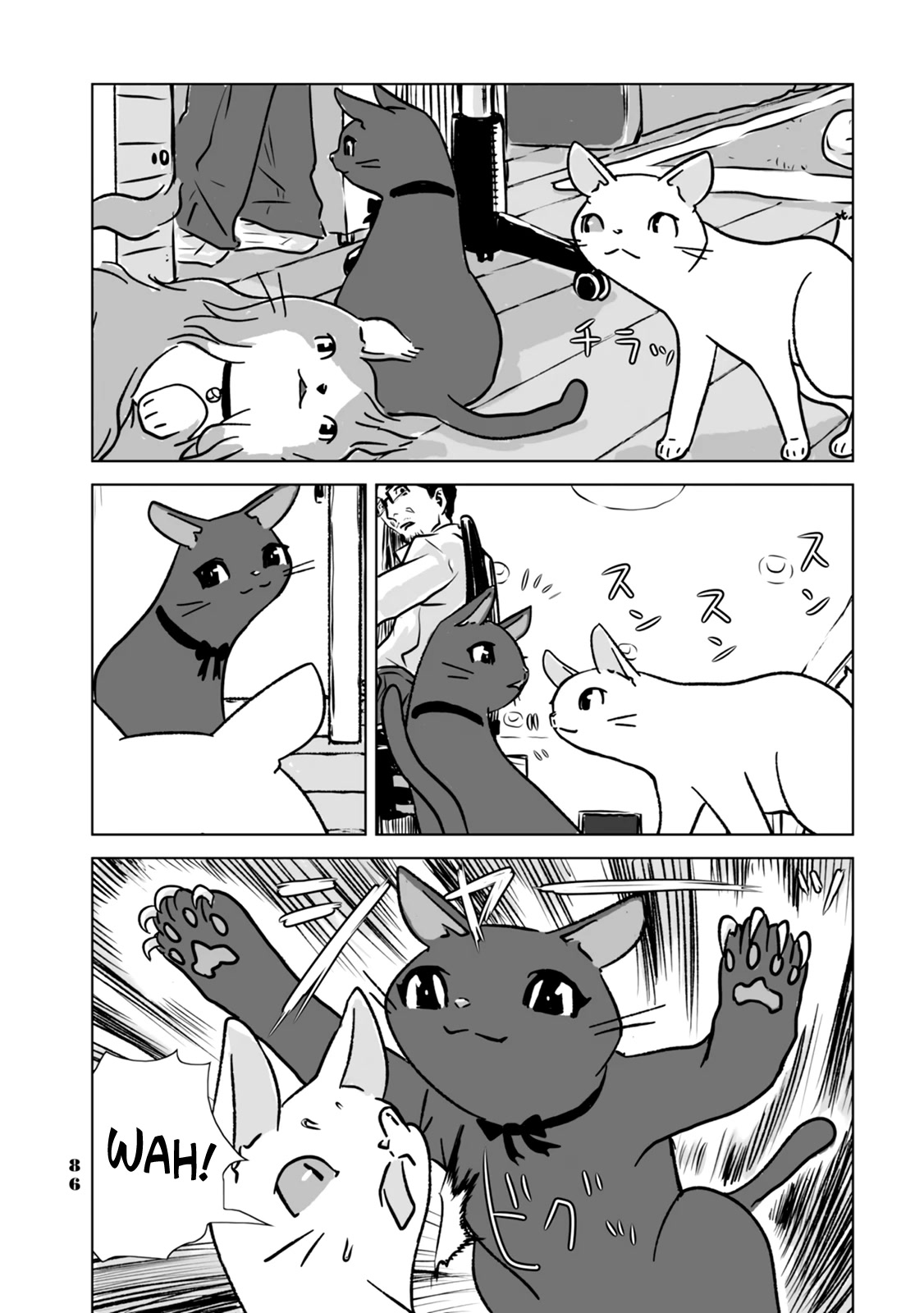 No Cats Were Harmed in This Comic Chapter 5 - Page 10