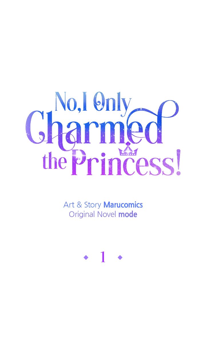No, I Only Charmed the Princess! Chapter 1 - Page 41