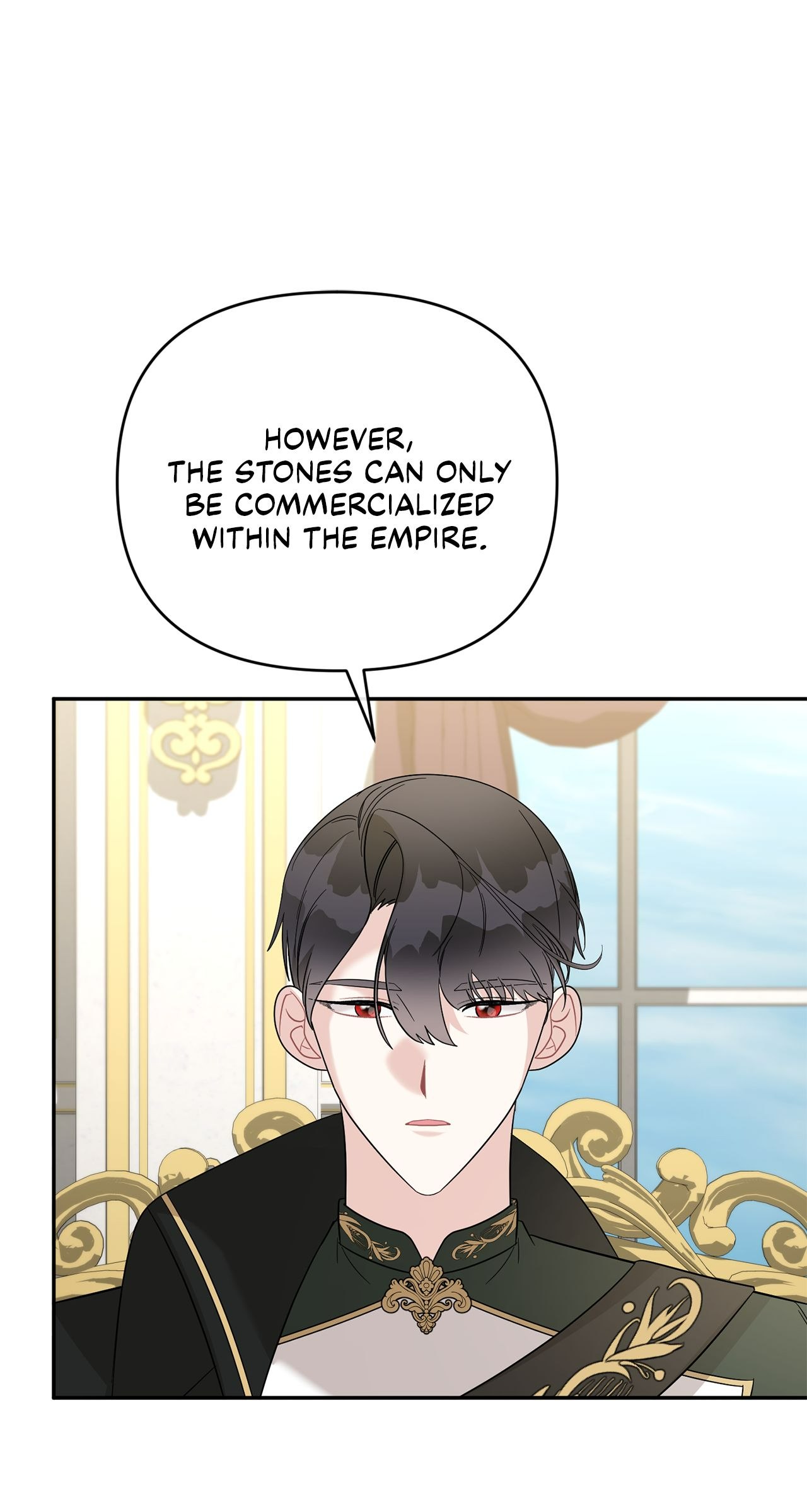 No, I Only Charmed the Princess! Chapter 10 - Page 9
