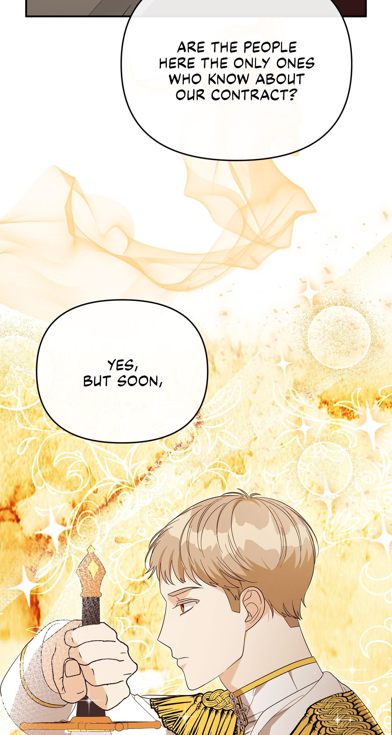 No, I Only Charmed the Princess! Chapter 13 - Page 14