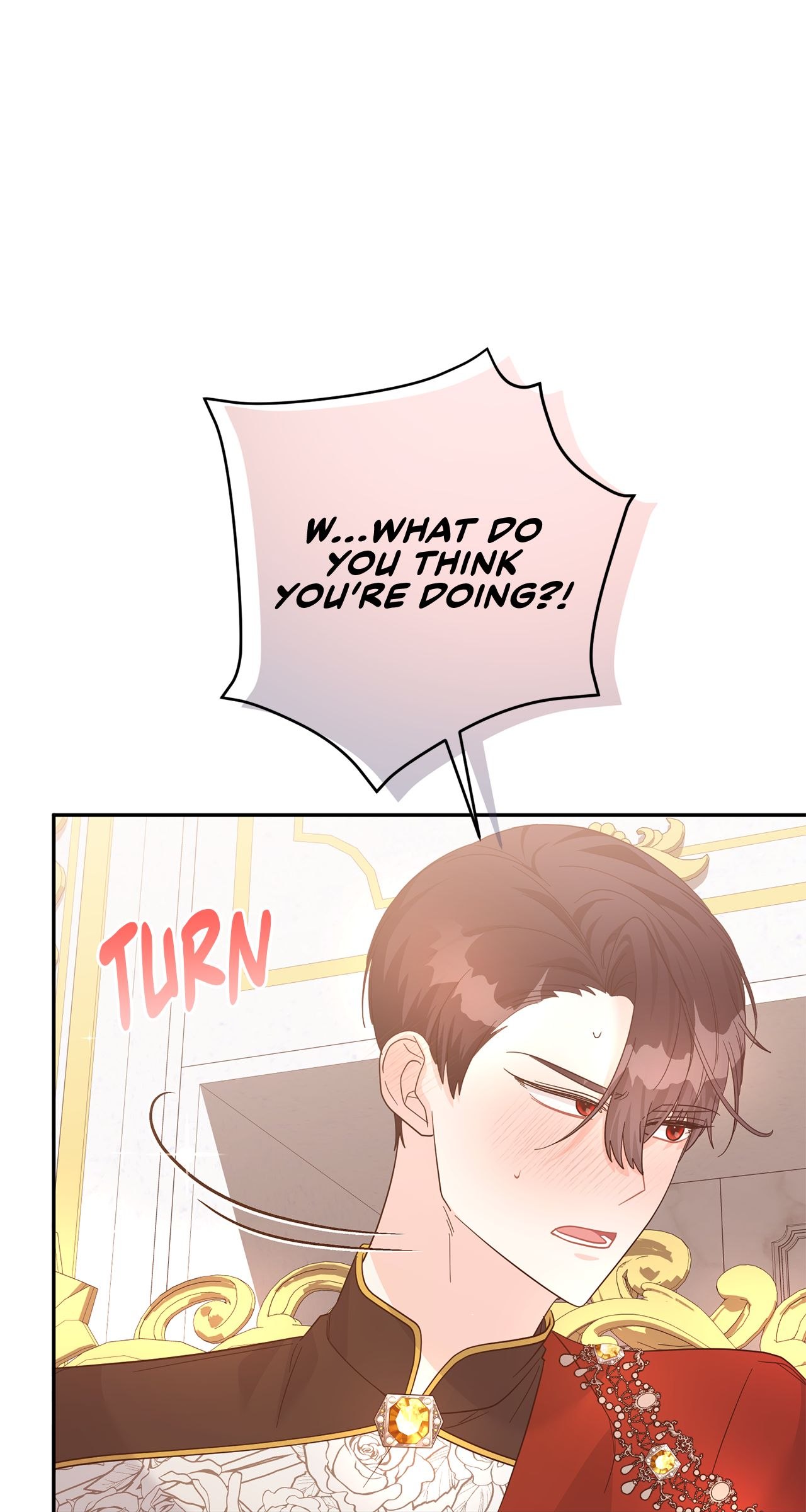 No, I Only Charmed the Princess! Chapter 18 - Page 46