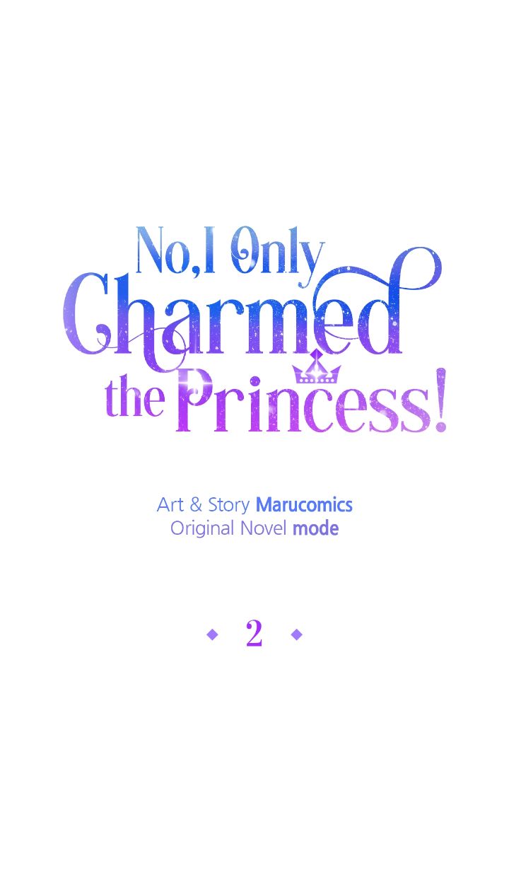 No, I Only Charmed the Princess! Chapter 2 - Page 17