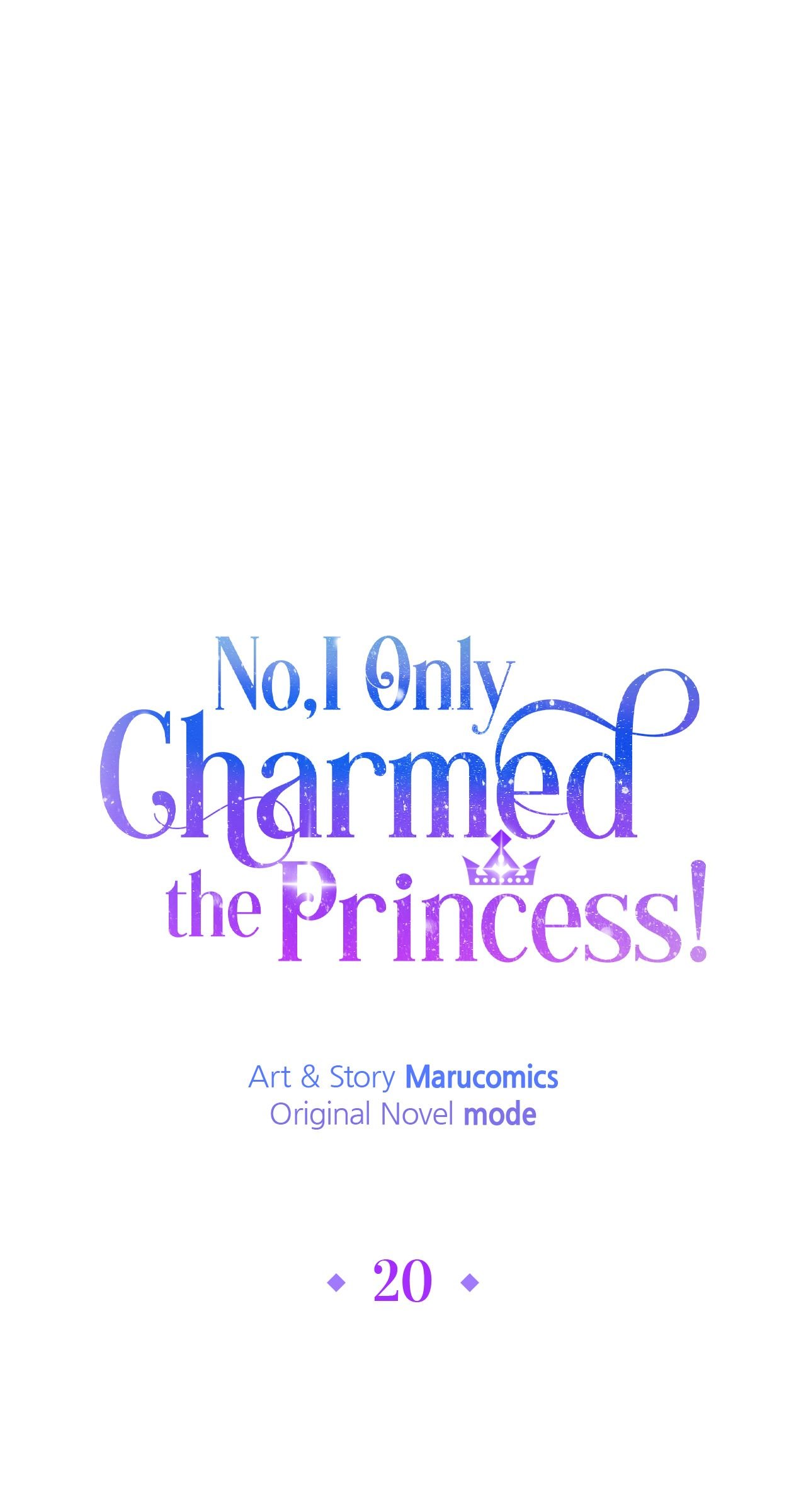 No, I Only Charmed the Princess! Chapter 20 - Page 31