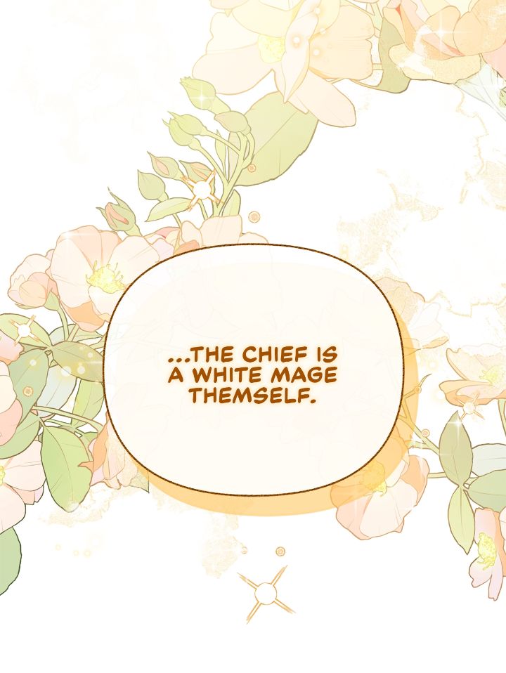 No, I Only Charmed the Princess! Chapter 3 - Page 27