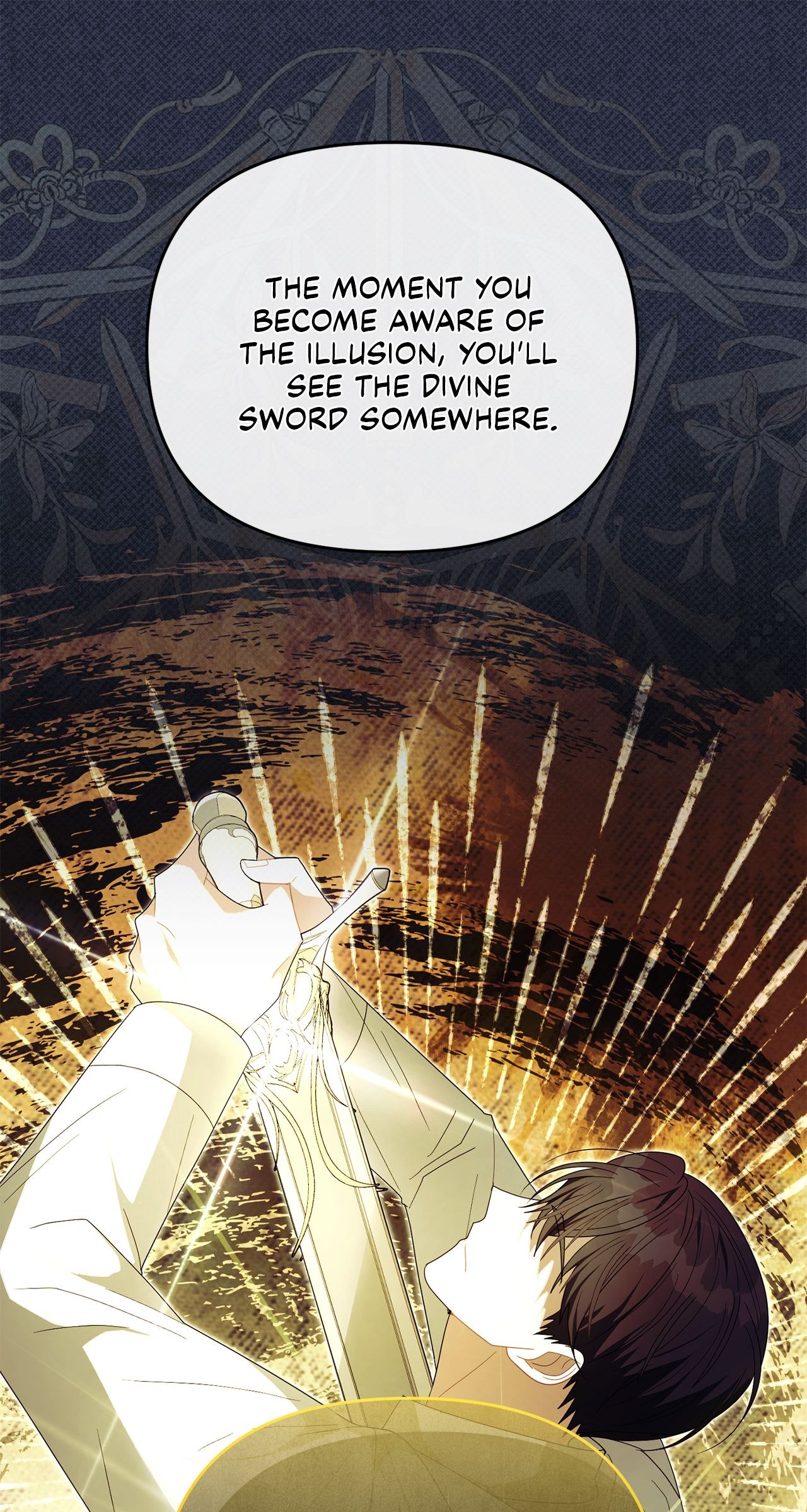 No, I Only Charmed the Princess! Chapter 31 - Page 11